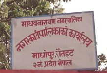 माधवनारायण नगरपालिकाले करिव सवै वार्ड जोड्ने सडक संजालको विस्तारमा