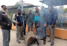 चिसोले जनजीवन भए प्रभावित ,विद्यालयहरु गरियो बन्द