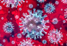 गौर नगरपालिकाका कर्मचारी सहित १७ जना पोजेटिव