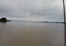 अविरल वर्षाले किसानहरु भए चिंतित , डुवानमा पर्ने खतरा