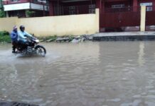 वर्षको पानीले जलमग्न गौरको बाटो